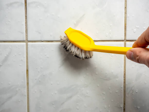 Best Toxic Mold Removal  in Center Hill, FL