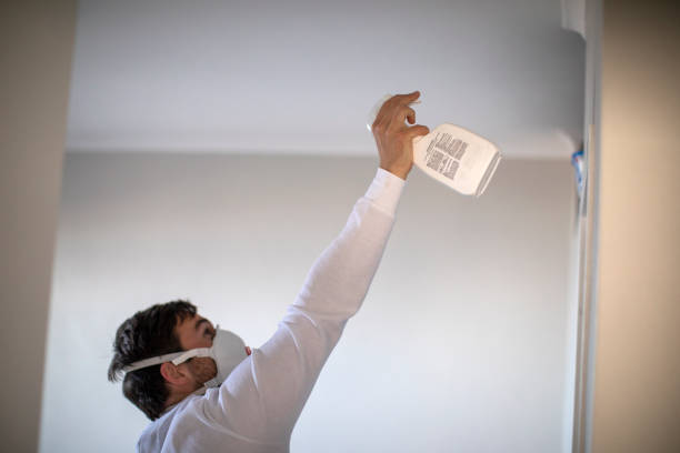 Best Certified Mold Removal  in Center Hill, FL