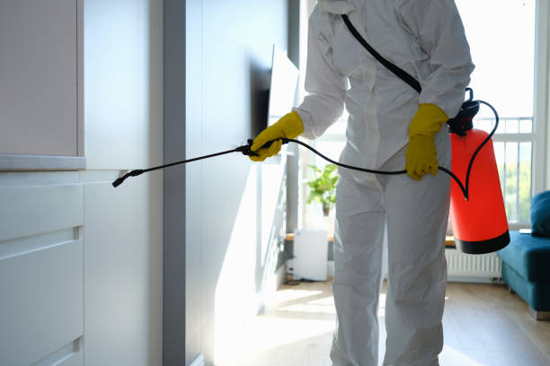 Trusted Center Hill, FL Mold Removal Experts