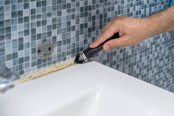 Best Mold Testing  in Center Hill, FL