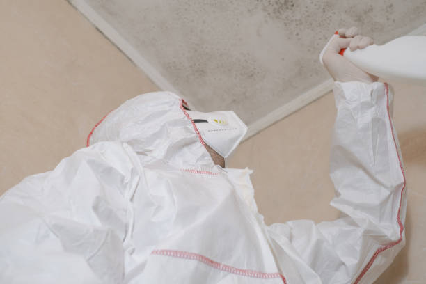 Best Affordable Mold Removal  in Center Hill, FL