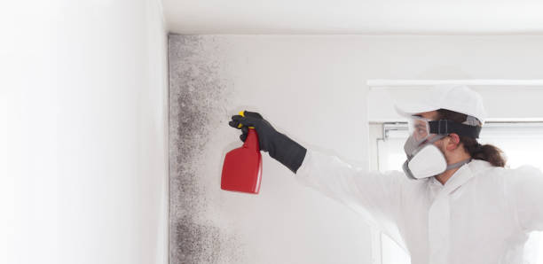 Best Mold Cleaning Services  in Center Hill, FL